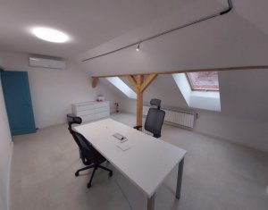 House 12 rooms for rent in Cluj-napoca, zone Andrei Muresanu