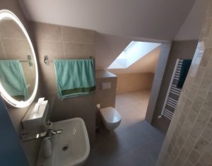 House 12 rooms for rent in Cluj-napoca, zone Andrei Muresanu
