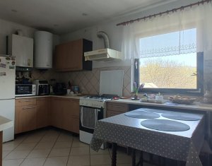 Maison 3 chambres à vendre dans Cluj-napoca, zone Iris