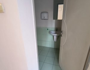 Maison 7 chambres à louer dans Cluj-napoca, zone Centru