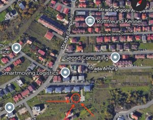 , 333m2 in Cluj-napoca