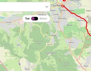 Land for sale in Rediu