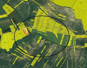 Land for sale in Rediu