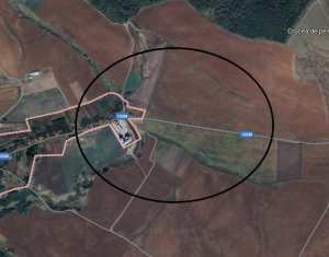 Land for sale in Rediu