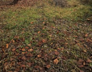 House 2 rooms for sale in Cluj-napoca