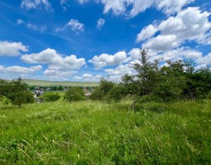 Terrain à vendre dans Luna De Sus
