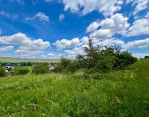 Terrain à vendre dans Luna De Sus