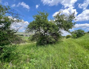 Terrain à vendre dans Luna De Sus