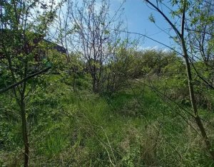 Teren 500mp strada Frunzisului