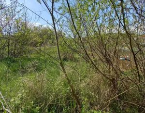 Teren 500mp strada Frunzisului