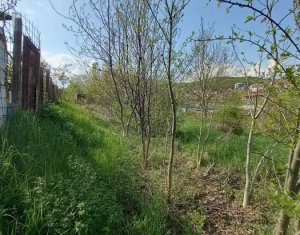 Teren 500mp strada Frunzisului
