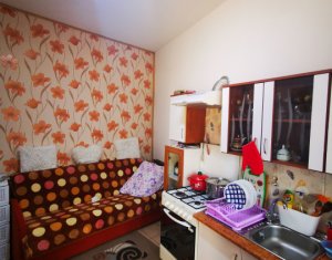 Maison 2 chambres à vendre dans Cluj-napoca, zone Centru