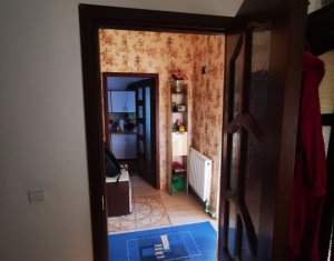 Maison 2 chambres à vendre dans Cluj-napoca, zone Centru