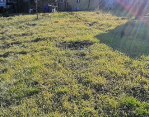 House 5 rooms for sale in Mihai Viteazu, zone Centru