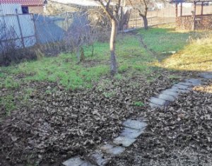 House 5 rooms for sale in Mihai Viteazu, zone Centru