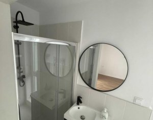 Maison 4 chambres à louer dans Cluj-napoca, zone Iris