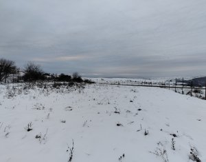 , 1131m2 in Chinteni