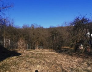 Telek eladó on Comsesti