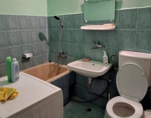 Appartement 1 chambres à louer dans Cluj-napoca, zone Manastur