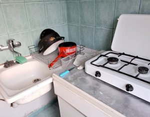 Appartement 1 chambres à louer dans Cluj-napoca, zone Manastur