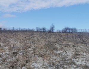 Casa noua si teren mare la 40 min de Cluj-N, Livada(Petrestii de Jos)