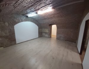 Maison 20 chambres à louer dans Cluj-napoca, zone Andrei Muresanu