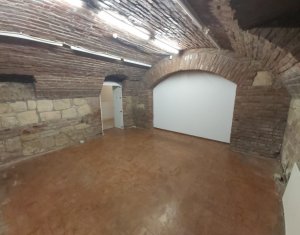 Maison 20 chambres à louer dans Cluj-napoca, zone Andrei Muresanu