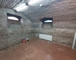 Maison 20 chambres à louer dans Cluj-napoca, zone Andrei Muresanu