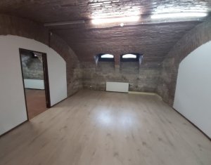 Maison 20 chambres à louer dans Cluj-napoca, zone Andrei Muresanu