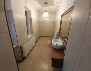 Maison 20 chambres à louer dans Cluj-napoca, zone Andrei Muresanu