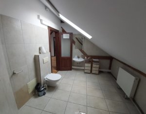 Maison 20 chambres à louer dans Cluj-napoca, zone Andrei Muresanu