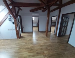 Maison 20 chambres à louer dans Cluj-napoca, zone Andrei Muresanu