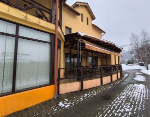 Ház 22 szobák eladó on Caseiu