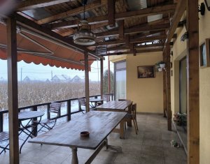 Ház 22 szobák eladó on Caseiu