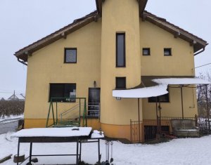 Ház 22 szobák eladó on Caseiu