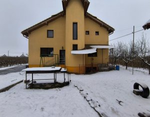 Ház 22 szobák eladó on Caseiu