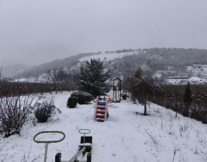 Ház 22 szobák eladó on Caseiu