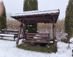 Ház 22 szobák eladó on Caseiu