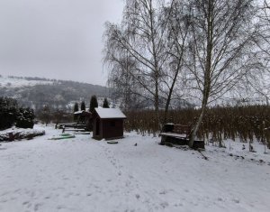 Ház 22 szobák eladó on Caseiu