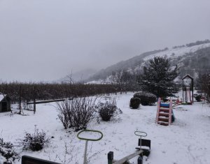 Ház 22 szobák eladó on Caseiu