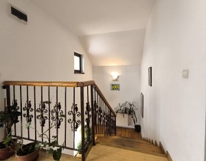 Ház 22 szobák eladó on Caseiu