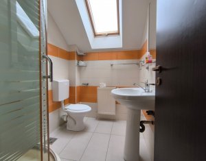 Ház 22 szobák eladó on Caseiu