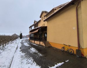 Ház 22 szobák eladó on Caseiu