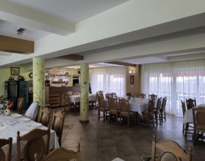 Ház 22 szobák eladó on Caseiu