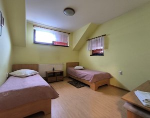 Ház 22 szobák eladó on Caseiu