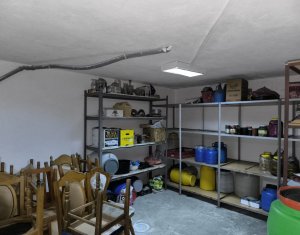 Ház 22 szobák eladó on Caseiu