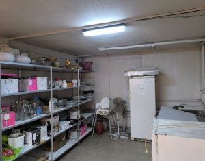 Ház 22 szobák eladó on Caseiu