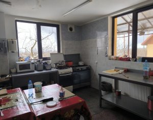 Ház 22 szobák eladó on Caseiu