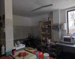 Ház 22 szobák eladó on Caseiu