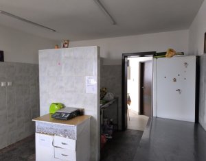 Ház 22 szobák eladó on Caseiu